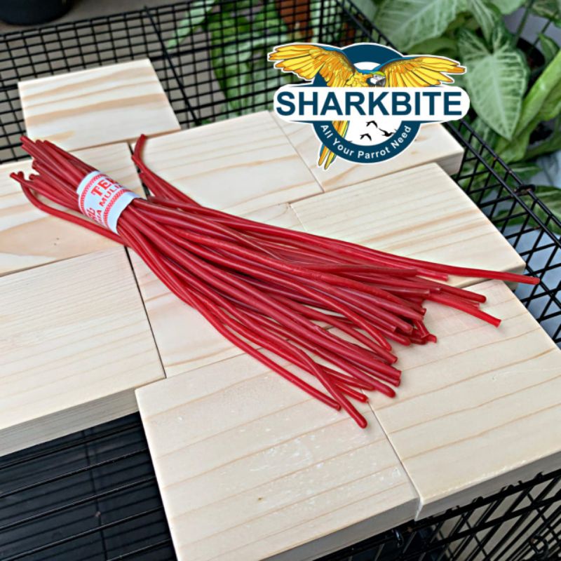 Karet Pentil Untuk Spet Lolohan Baby Burung Parrot Falk SunConure