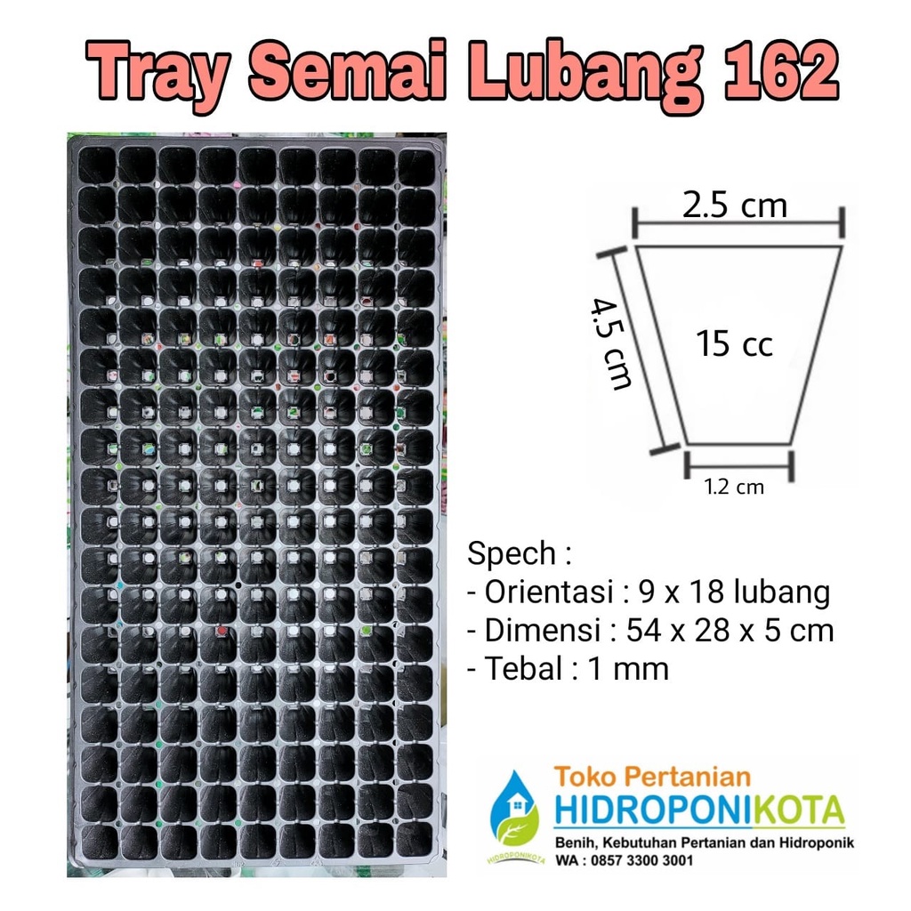 FREE Packing Kardus - Tray Semai Lubang 50, 72, 105, 128,  162, 200, 288 - Tebal 1 mm