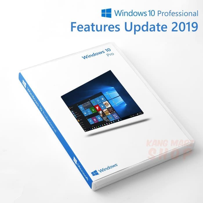 TERLARIS Windows 10 Pro 64 bit
