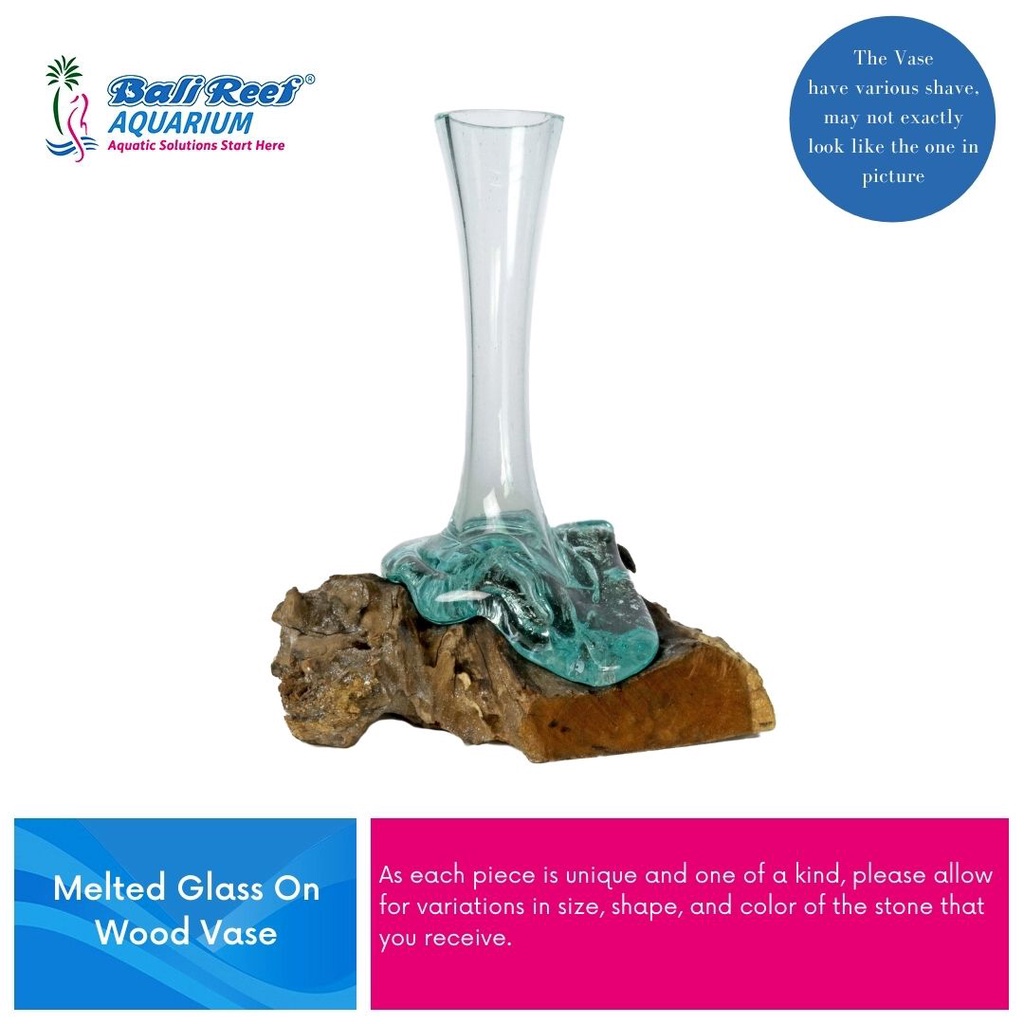 Vichpro Vase Bunga Kaca Tiup Aquarium Tiup