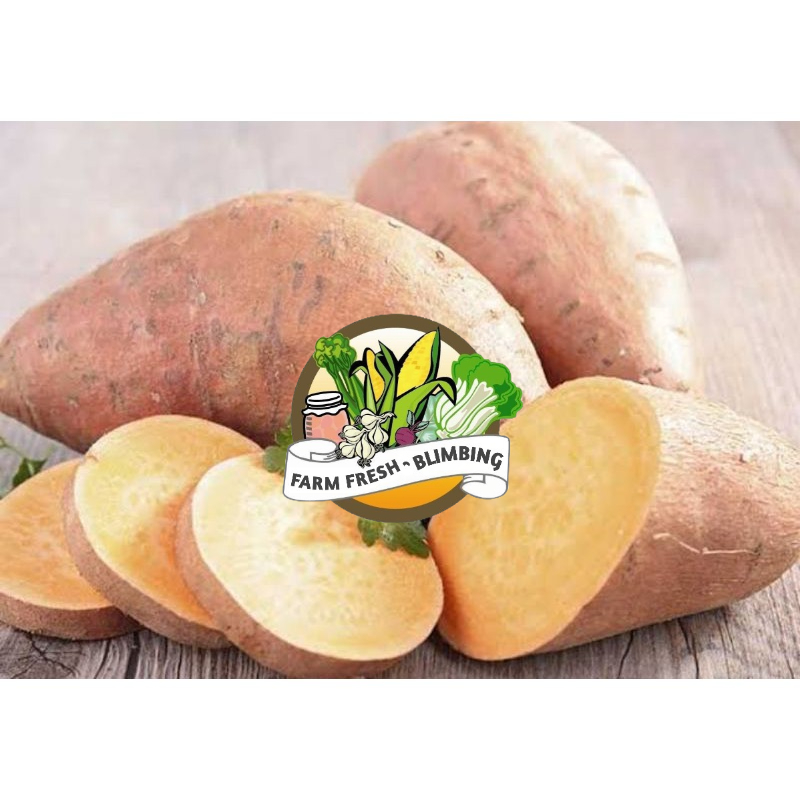 

Telo Kuning / Ketela Kuning / Ubi Jalar Kuning