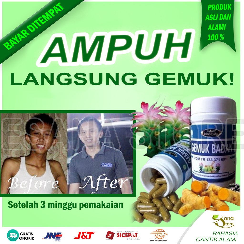 PENAMBAH NAFSU MAKAN BINASYIFA KAPSUL GEMUK BADAN BINA SYIFA PENGGEMUK BERAT BADAN PENGEMUK ES01