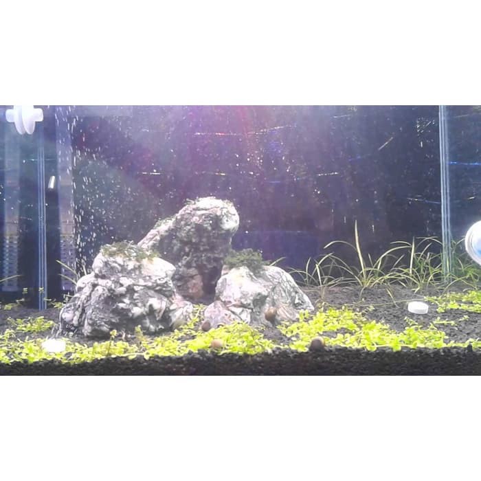 CO2 Tablet untuk Aquascape Aquarium Akuarium ISTA isi 100 Butir