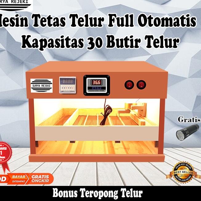 Dijual Murah✬ mesin penetas telur tetas telur otomatis telur ayam dan bebek inkubator telur 88