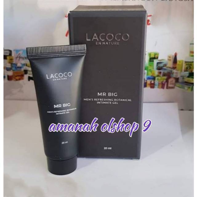 mr big lacoco nasa