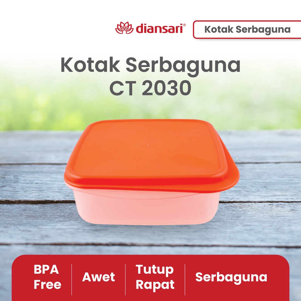 DIANSARI-kotak penyimpanan serbaguna/storage box kecil/kotak makan anak