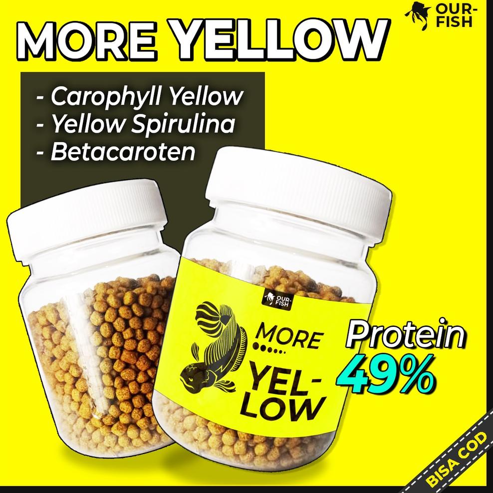 Langsung kirim ||81z Pelet Ikan Channa MORE YELLOW BLUE RED Pakan Ikan Channa Auranti Andrao Stewart