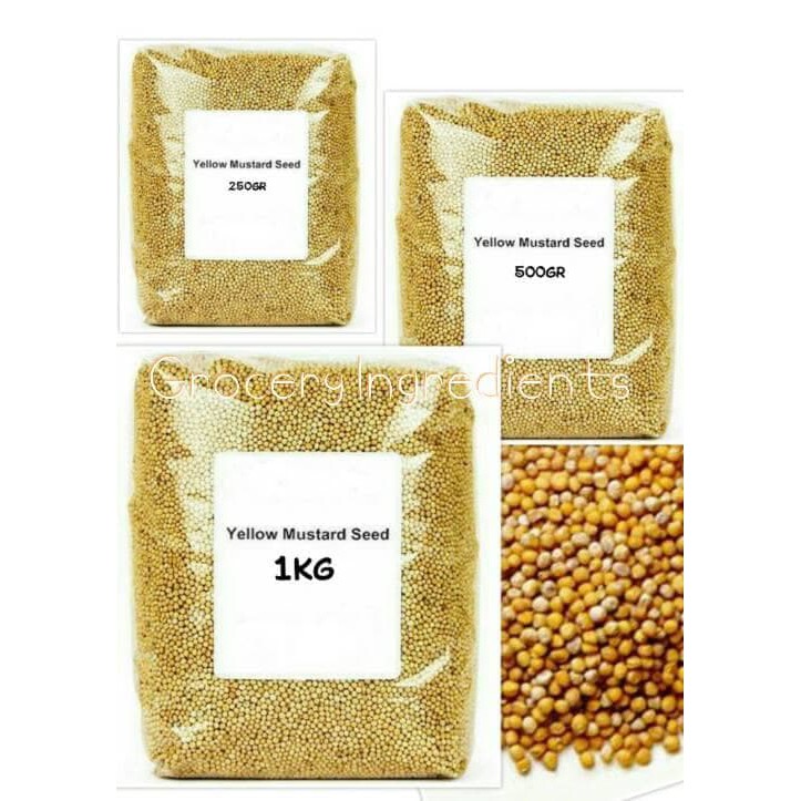 

Yellow Mustard Seed / Biji Sawi - 35gram