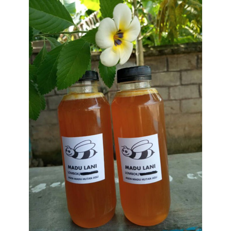 

madu Asli Hutan Lombok 500ml
