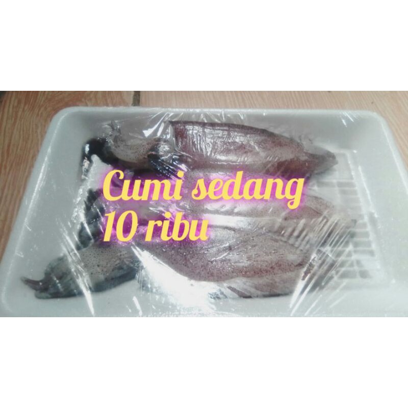 

cumi uk sedang