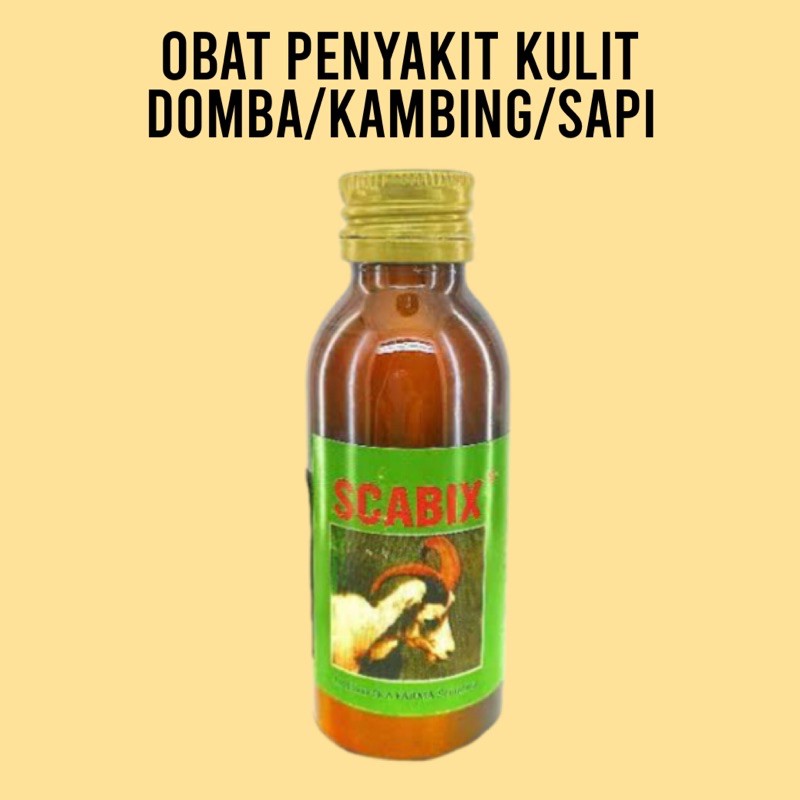 Obat Penyakit Kulit Kambing Domba Sapi Scabies Gudig Parasit
