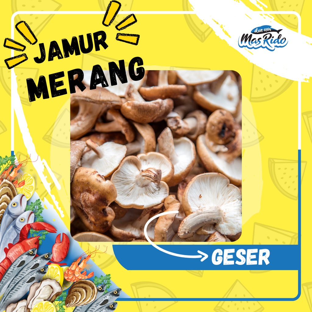 

Jamur Sioko 50Gr Shitake Kering Tebal Grade A Hioko Shiitake Mushroom