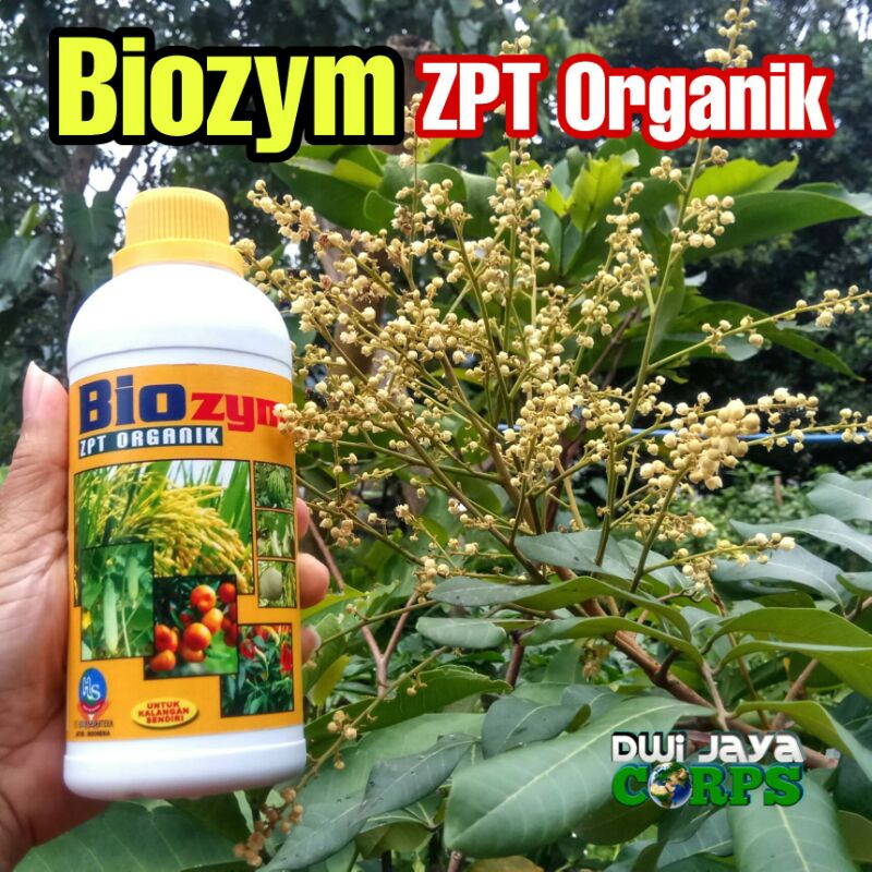 Biozym ZPT Organik, Zat Pengatur Tumbuh