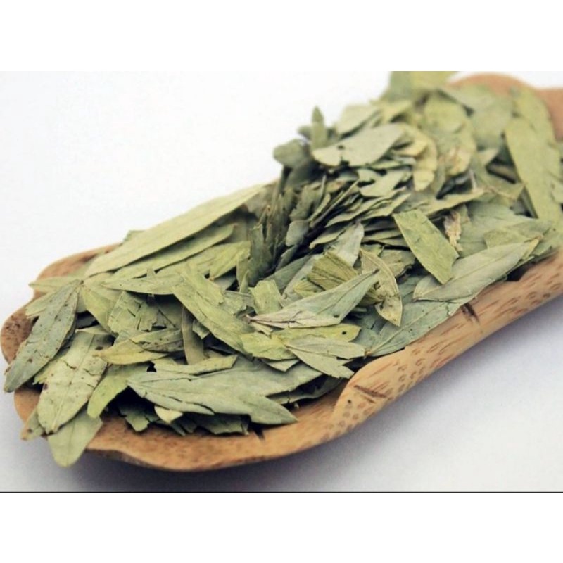 

Daun Jati Cina Kering