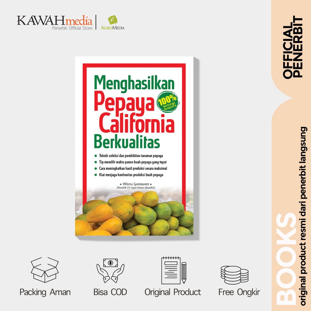 Menghasilkan Pepaya California Berkualitas