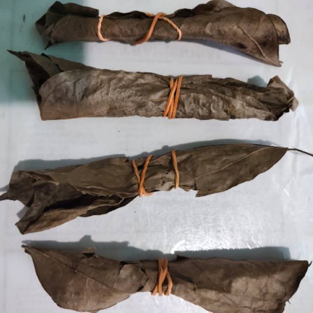 

OBAT HABIS OPERASI/HABIS MELAHIRKAN/LUKA DALAM/OBAT HABIS MELAHIRKAN AGAR CEPAT SEMBUH HERBAL