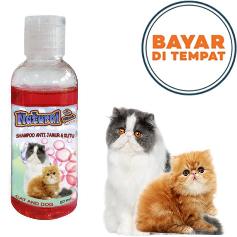 shampo kucing anti jamur kutu natural 50ml