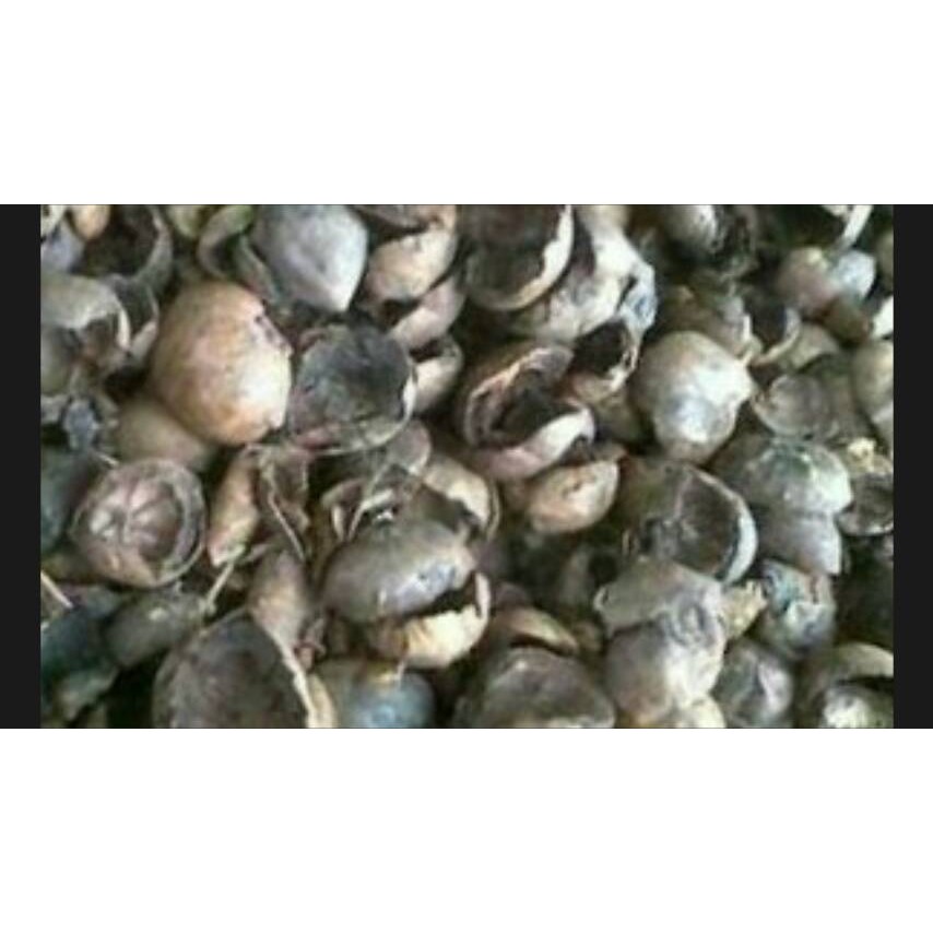 

kulit manggis kering 100 gram