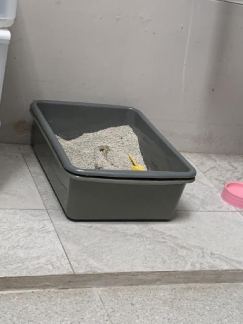Fasia - Litter Box - Bak Pasir Kucing Ukuran Besar Xl
