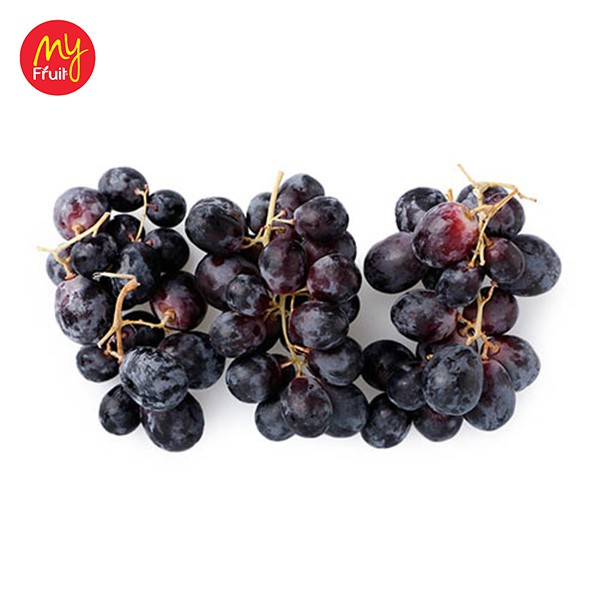 

My Fruit Anggur Hitam 500 gr