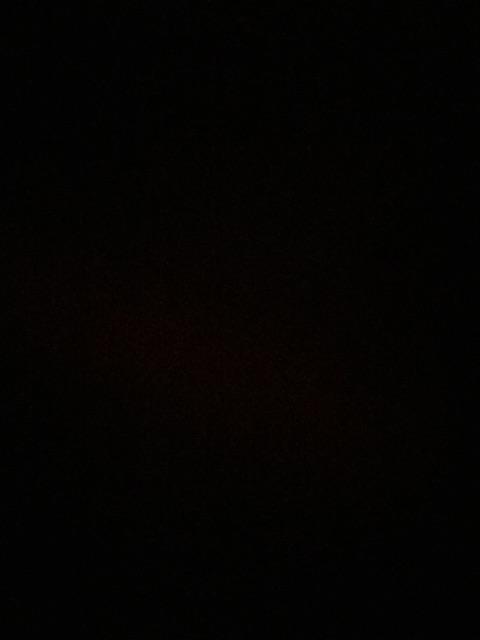 Lem Lalat Stick - Cap Gajah Fly Catche Stick 12 Pcs