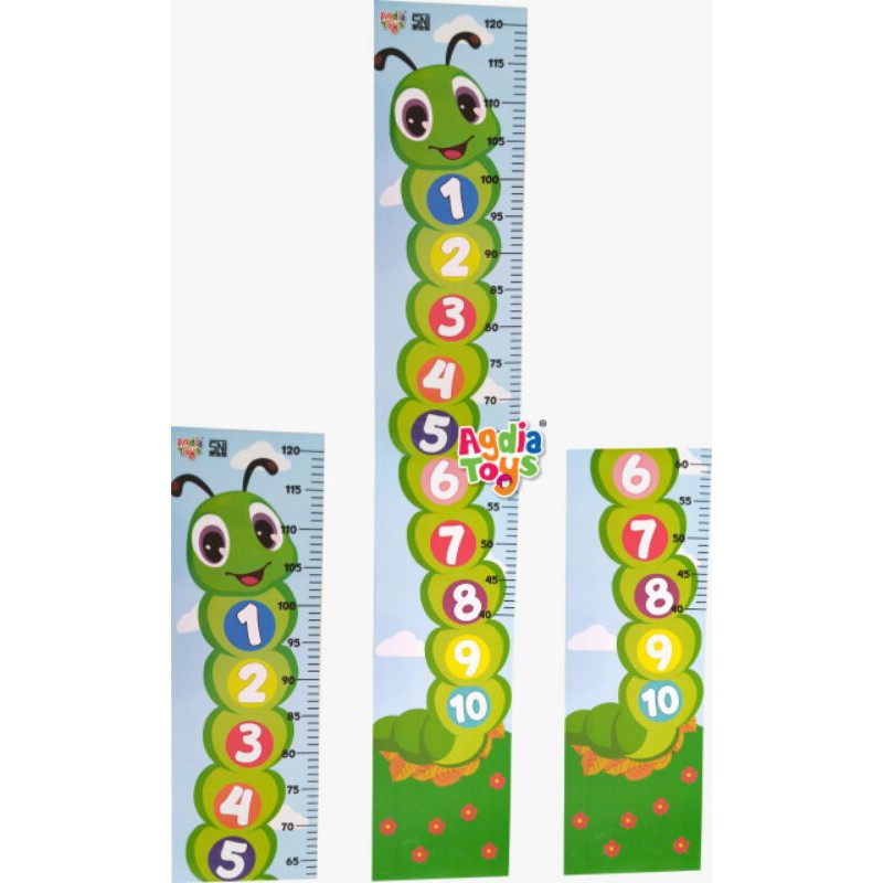 alat ukur tinggi badan ulat