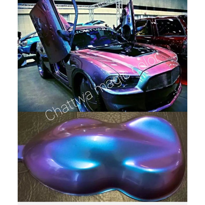 cat bunglon chameleon color