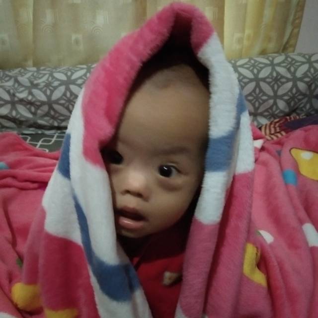 aguskodarjaelanijaelani