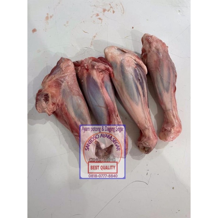 

Meat | Sengkel Kambing Segar 1Kg - Fresh Lamb Shank Meat Bone In