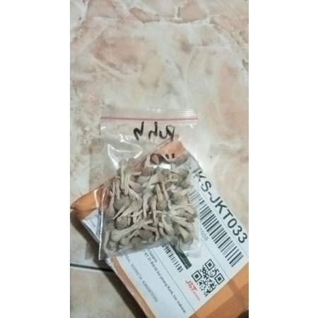 Promo MPOT Ayam Putih Empot Jamu Rapet Herbal