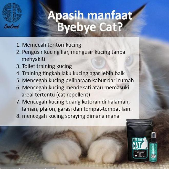 Cara mengusir kucing dari rumah