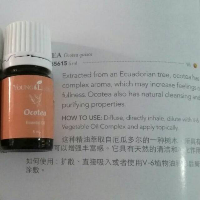 Ocotea, Young living