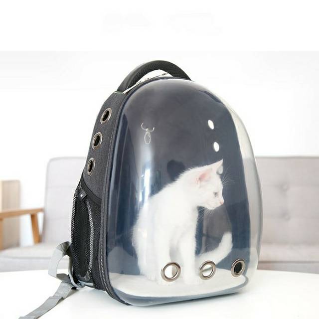 Paling Keren Tas Ransel Kucing