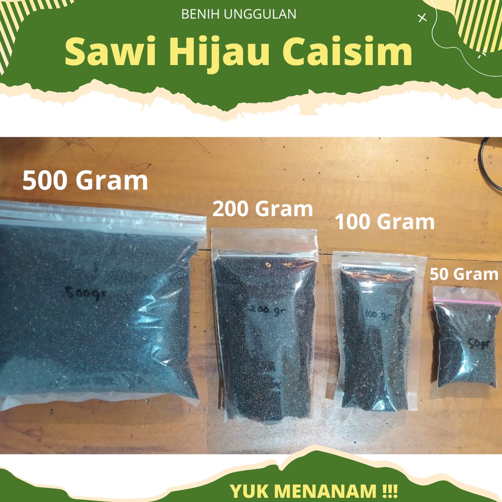 500 Gram - Benih Sawi Hijau Sawi Caisim SUPER baru Panen