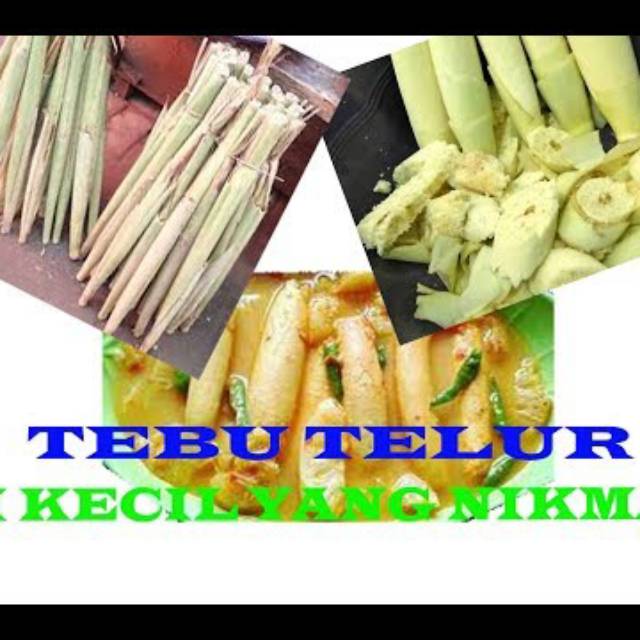 

Tebu telur