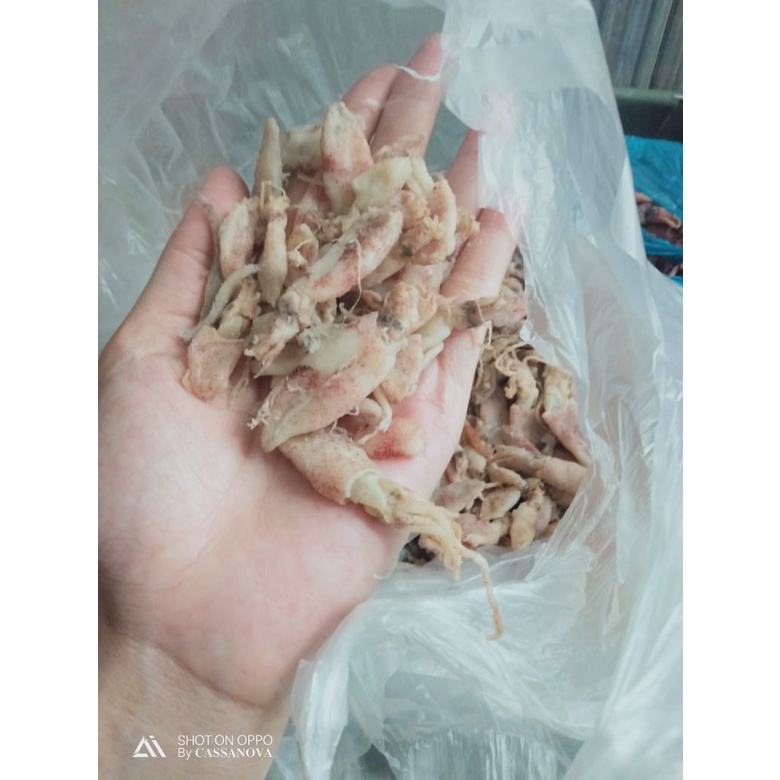 

Bebi Cumi Asin Kualitas Grade A - 250 gram