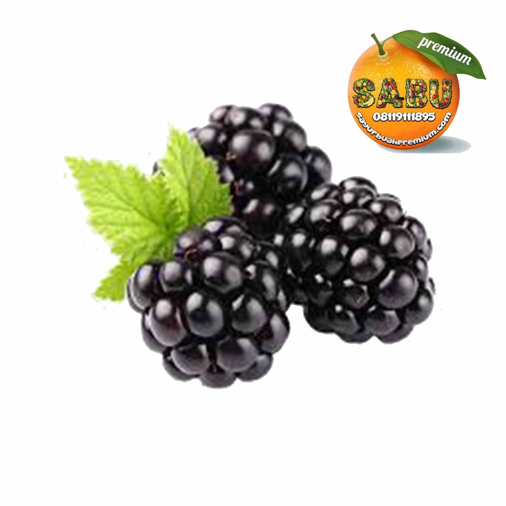 

BlackBarry Import Frozen