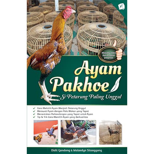 

AP 2 - Ayam Pakhoe; Si Petarung Paling Unggul