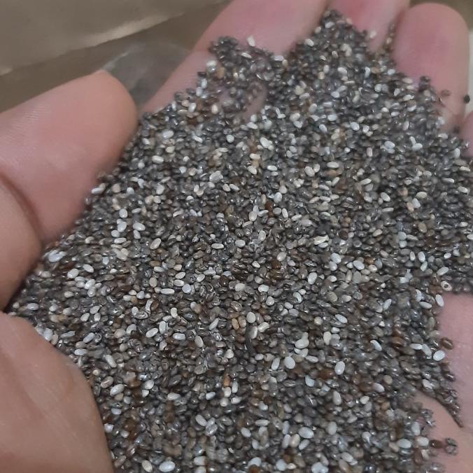 

Premium Chiaseed / Chia Seed 1Kg