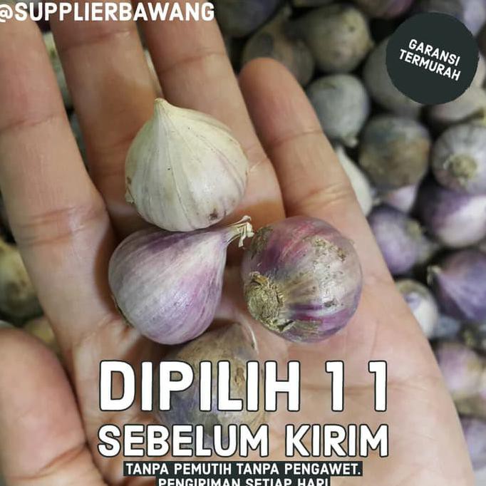 

Herbal877D8Rs-1 Bawang Putih Tunggal 1Kg
