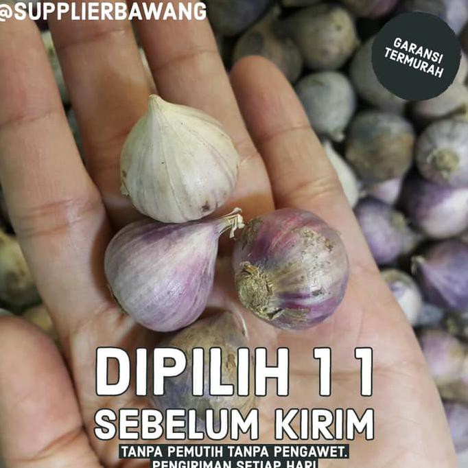 Jual Bawang Putih Tunggal 1kg Shopee Indonesia