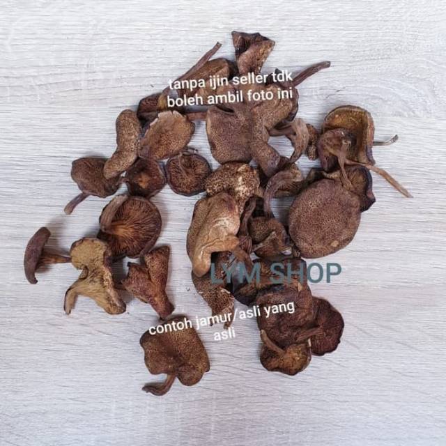 

JAMUR KERING ATAU KULAT ASLI BELITUNG