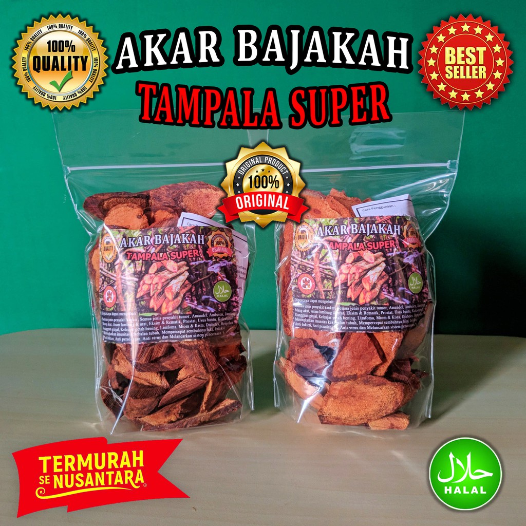 

Akar Bajakah Tampala Merah Super Asli Kalimantan Termurah 200gr
