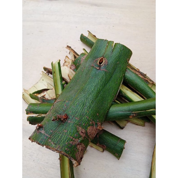 

jual kulit pohon randu atau pohon kapuk segar 500 gram