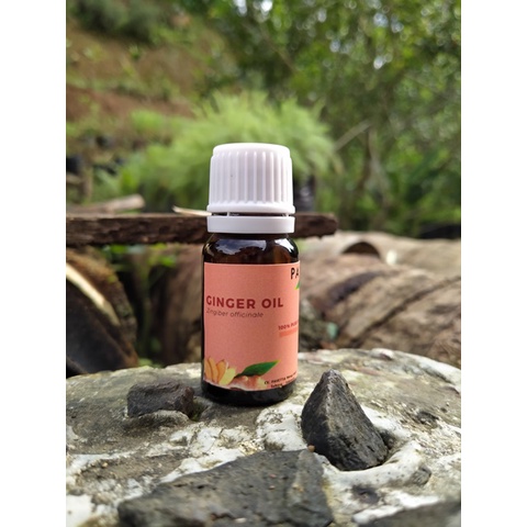 

10 ml sampel - Minyak jahe - Ginger oil (Zingiber officinale)