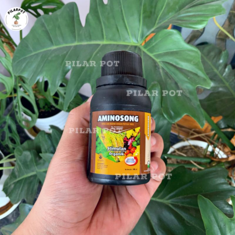 PUPUK CAIR ORGANIK AMINOSONG 100ML ASAM AMINO CAIR ORGANIK - AMINOSONG