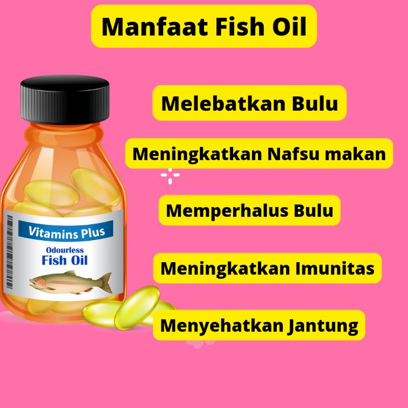 Minyak Ikan Kucing Premium Kaya Omega 3