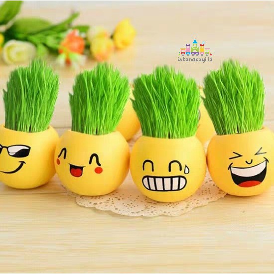  1KG 12PCS Pot Bunga Emoji  Mini Motif Emoticon untuk 