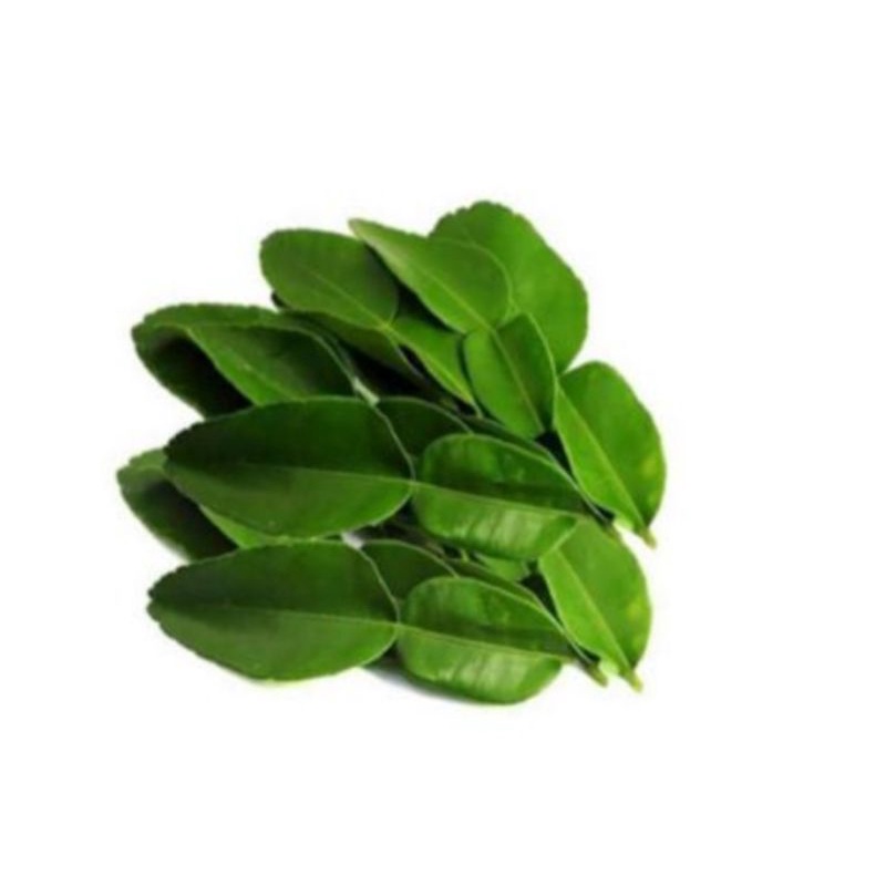 

DAUN JERUK 250 GRAM