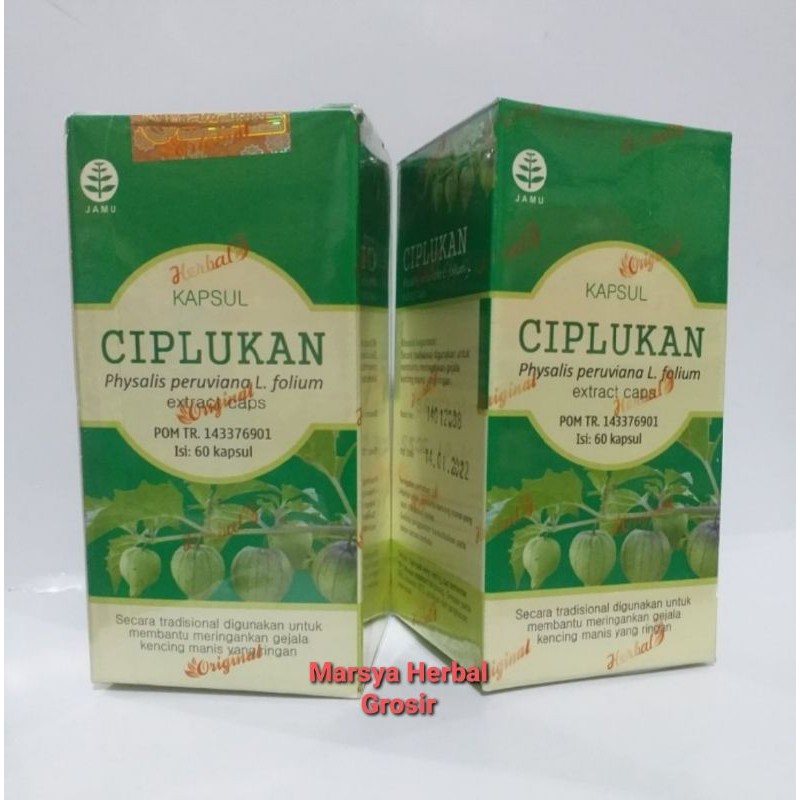 Kapsul CIPLUKAN Isi 60 Kapsul Extrak Ciplukan 100 % Original
